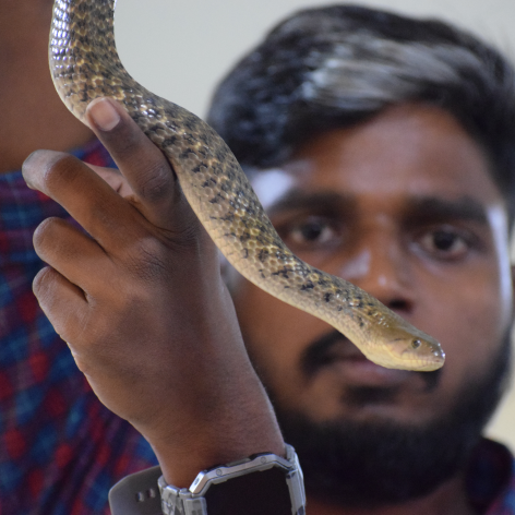 Friends of Snakes Society conducts outreach session on campus